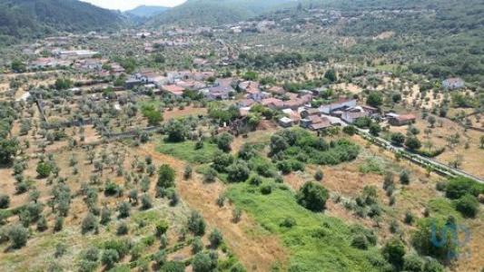 Acheter Maison Ansiao rgion LEIRIA