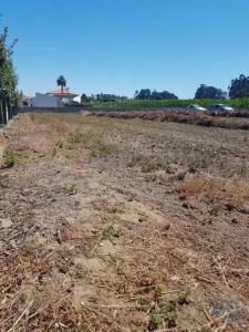 Acheter Terrain 600 m2 Barcelos
