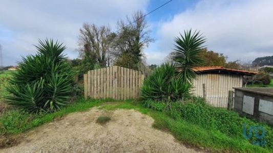 Annonce Vente Terrain Estarreja