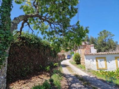 Vente Maison Porto-de-mos PEDREIRAS 10 au Portugal