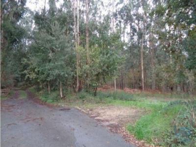 Acheter Terrain 7047 m2 Ovar