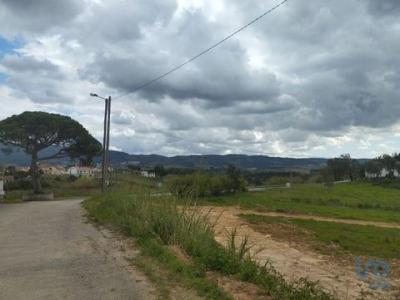 Annonce Vente Terrain Cadaval