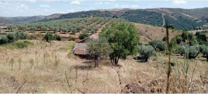 Acheter Terrain 2066 m2 Braganca