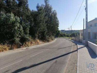 Vente Terrain Leiria LEIRIA,-POUSOS,-BARREIRA-E-CORTES 10 au Portugal