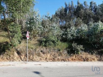 Acheter Terrain Leiria rgion LEIRIA