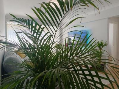 Acheter Appartement Alcabideche rgion LISBOA