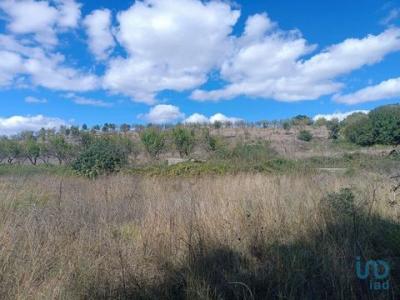 Annonce Vente Terrain Mogadouro