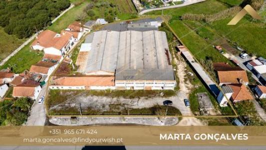 Acheter Local commercial 1627 m2 Alcobaca