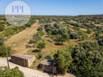 Annonce Vente Terrain Vila-do-bispo