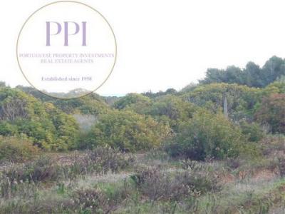 Acheter Terrain 20332 m2 Vila-do-bispo