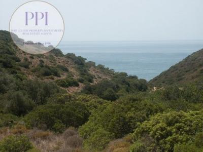 Acheter Terrain 11000 m2 Vila-do-bispo