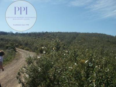 Acheter Terrain 32767 m2 Lagos