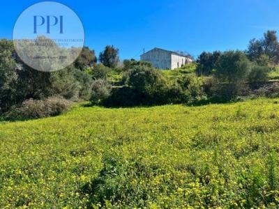 Acheter Maison 57 m2 Lagos