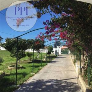 Annonce Vente Maison Vila-do-bispo