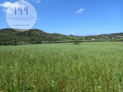 Acheter Terrain 3840 m2 Vila-do-bispo