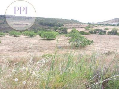 Acheter Terrain 3200 m2 Vila-do-bispo