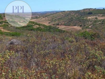 Acheter Terrain 7800 m2 Vila-do-bispo