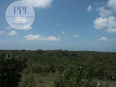 Acheter Terrain 32767 m2 Vila-do-bispo