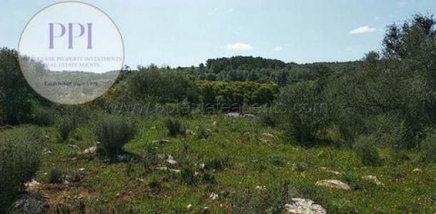 Acheter Terrain 12080 m2 Vila-do-bispo