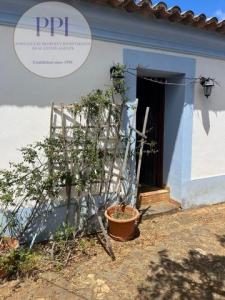 Acheter Maison 130 m2 Lagos