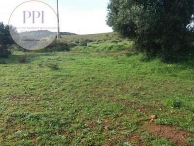 Annonce Vente Terrain Vila-do-bispo