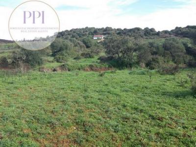 Acheter Terrain 9040 m2 Vila-do-bispo