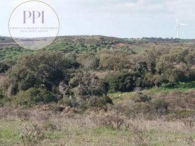 Acheter Terrain 9240 m2 Vila-do-bispo