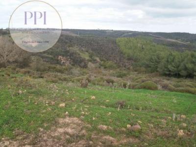 Acheter Terrain 32767 m2 Vila-do-bispo