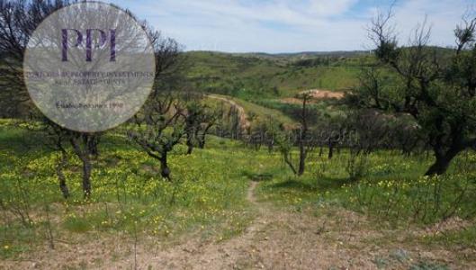Annonce Vente Terrain Vila-do-bispo