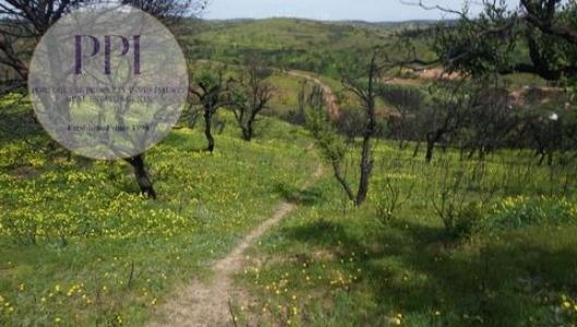 Acheter Terrain 11400 m2 Vila-do-bispo
