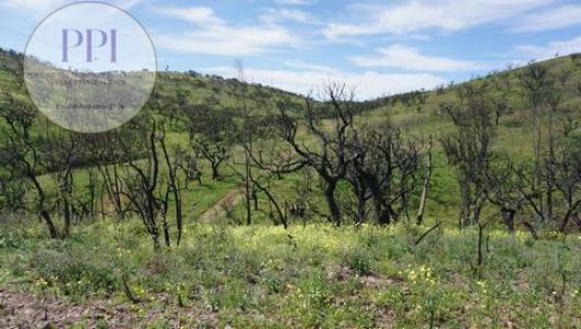 Annonce Vente Terrain Vila-do-bispo