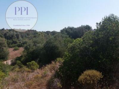 Acheter Terrain 5080 m2 Vila-do-bispo