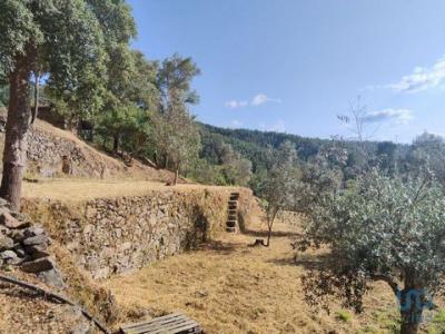 Annonce Vente Terrain Serta
