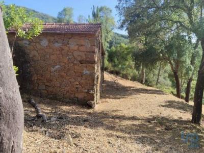 Acheter Terrain 20 m2 Serta
