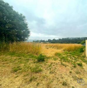 Annonce Vente Local commercial Aldreu