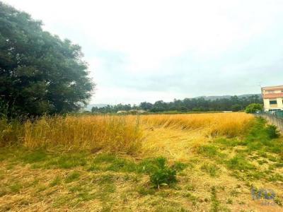 Acheter Local commercial 1500 m2 Aldreu