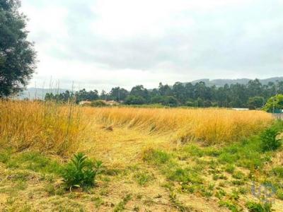 Acheter Local commercial Aldreu rgion BRAGA