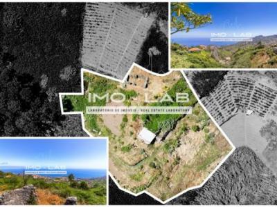 Annonce Vente Terrain Camara-de-lobos