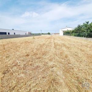 Annonce Vente Terrain Agua-formosa