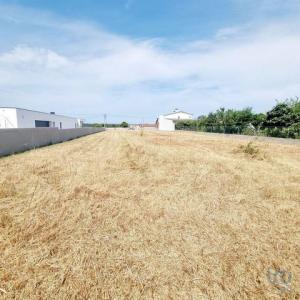 Acheter Terrain 1530 m2 Agua-formosa