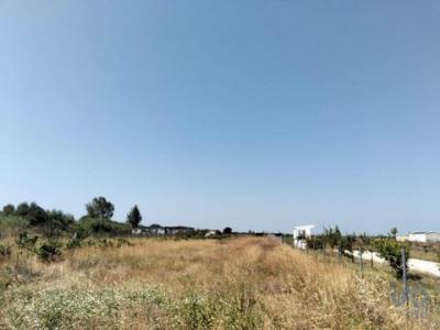 Vente Terrain Almeirim BENFICA-DO-RIBATEJO 14 au Portugal