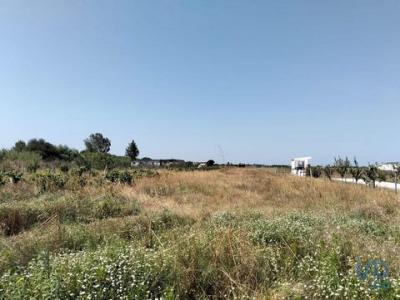 Annonce Vente Terrain Almeirim