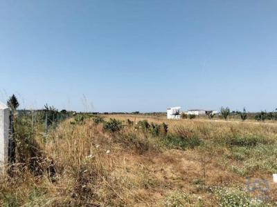 Acheter Terrain Almeirim rgion SANTAREM