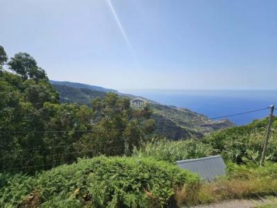 Acheter Maison 174 m2 Ribeira-brava