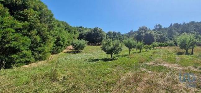 Annonce Vente Terrain Mafra
