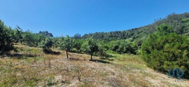 Acheter Terrain 8187 m2 Mafra