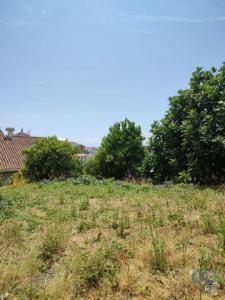 Acheter Maison 165 m2 Coimbra