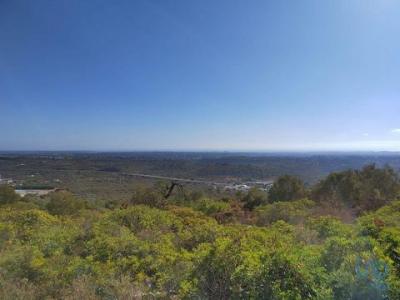 Annonce Vente Terrain Loule