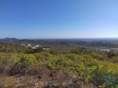 Acheter Terrain 3400 m2 Loule