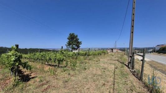 Vente Terrain Leiria PARCEIROS-E-AZOIA 10 au Portugal
